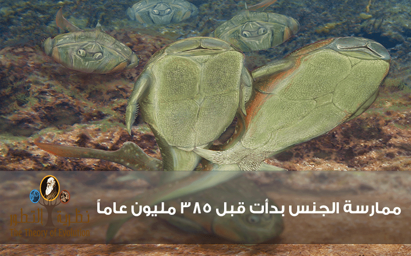 ممارسة الجنس بدأت قبل 385 مليون عاماً