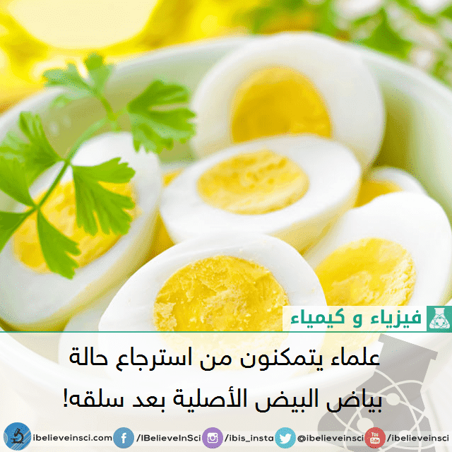 علماء يتمكنون من استعادة حالة بياض البيض الأصلية بعد سلقه