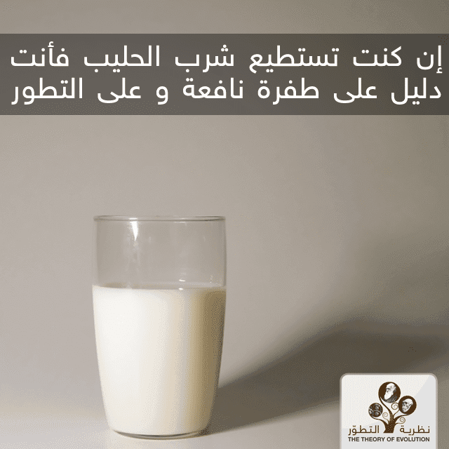 إن كنت تستطيع شرب الحليب فأنت دليل على طفرة نافعة و على التطور