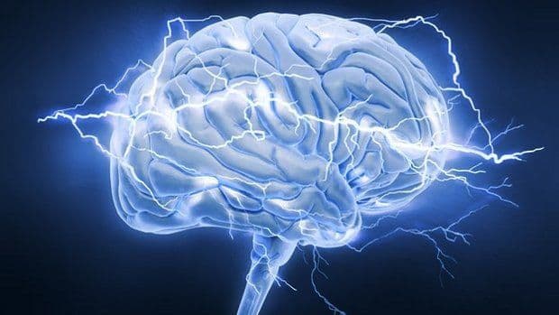 أدمغة الأشخاص العاطفيين مختلفة ماديا عن أدمغة العقلانيين