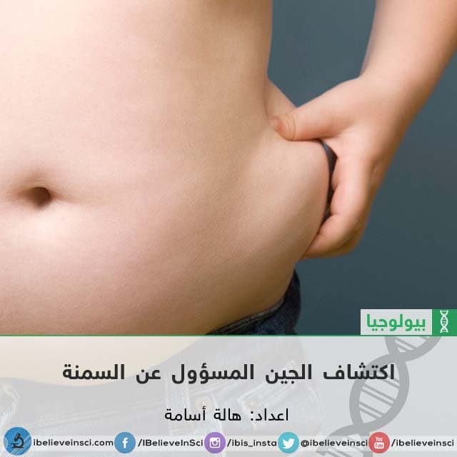 اكتشاف الجين المسؤول عن السمنة