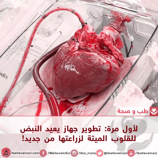 لأول مرة: تطوير جهاز يعيد النبض للقلوب الميتة لزراعتها من جديد!