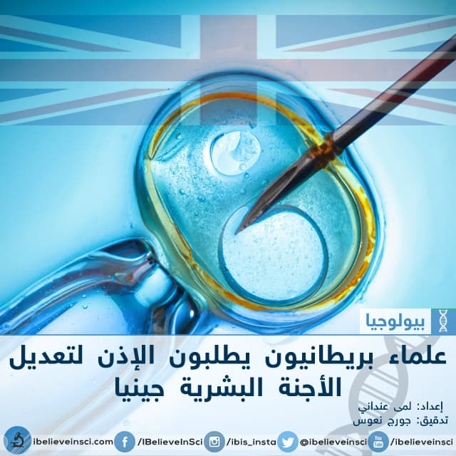 علماء بريطانيون يطلبون الإذن لتعديل الأجنة البشرية جينيا