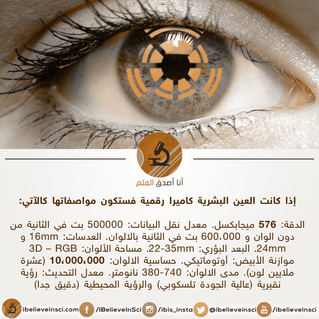 إذا كانت العين البشرية كاميرا رقمية فستكون مواصفاتها كالآتي