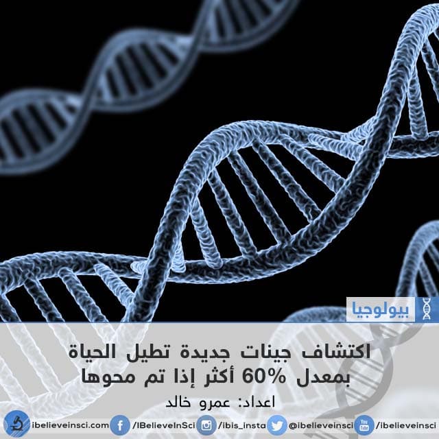 اكتشاف جينات جديدة تطيل الحياة بمعدل 60% أكثر إذا تم محوها