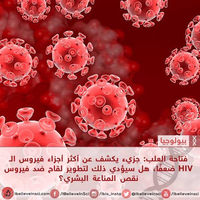 فتاحة العلب: جزيء يكشف عن أكثر أجزاء فيروس الـ HIV ضعفًا، هل سيؤدي ذلك لتطوير لقاح ضد فيروس نقص المناعة البشري؟