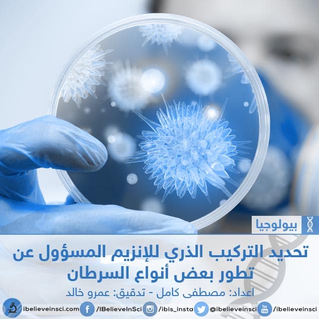 تحديد التركيب الذري لإنزيم PRC2 المسؤول عن تطور بعض أنواع السرطان