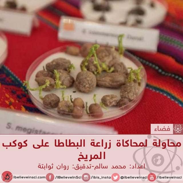 محاولة لمحاكاة زراعة البطاطا على كوكب المريخ