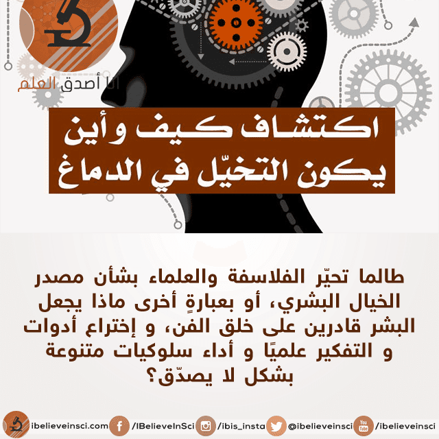 اكتشاف كيف و اين يكون التخيل في الدماغ