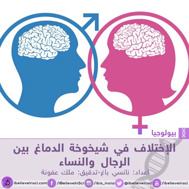 الإختلاف في شيخوخة الدماغ بين الرجال والنساء