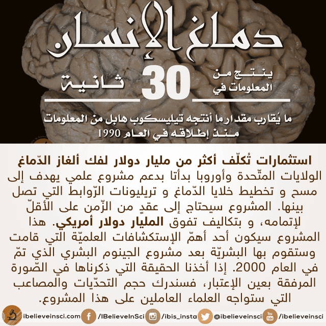 استثمارات تكلف أكثر من مليار دولار لفك الغاز الدماغ