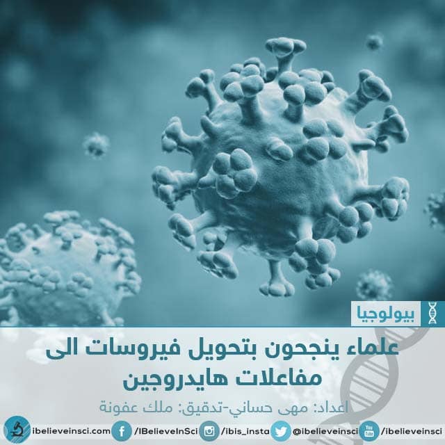 علماء ينجحون بتحويل فيروسات الى مفاعلات هايدروجين