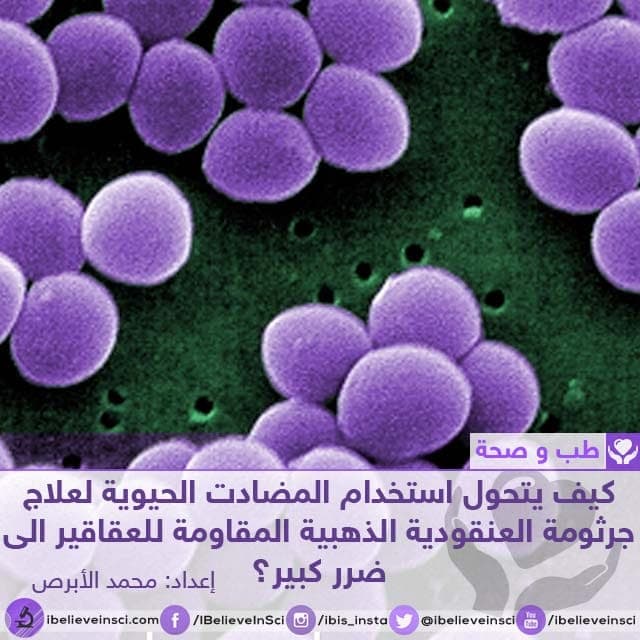 كيف يتحول استخدام المضادت الحيوية لعلاج جرثومة العنقودية الذهبية المقاومة للعقاقير الى ضرر كبير؟