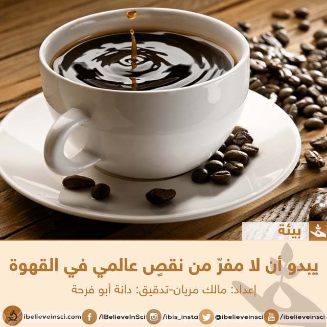 يبدو أن لا مفرّ من نقصٍ عالمي في القهوة