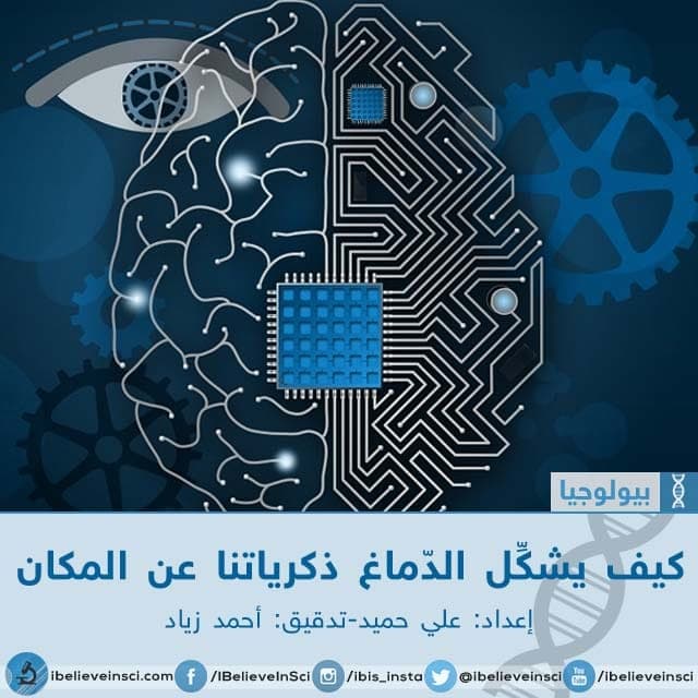 كيف يشكِّل الدّماغ ذكرياتنا عن المكان