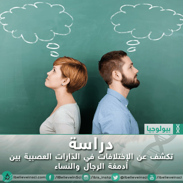 دراسة تكشف عن الإختلافات في الدارات العصبية بين أدمغة الرجال والنساء