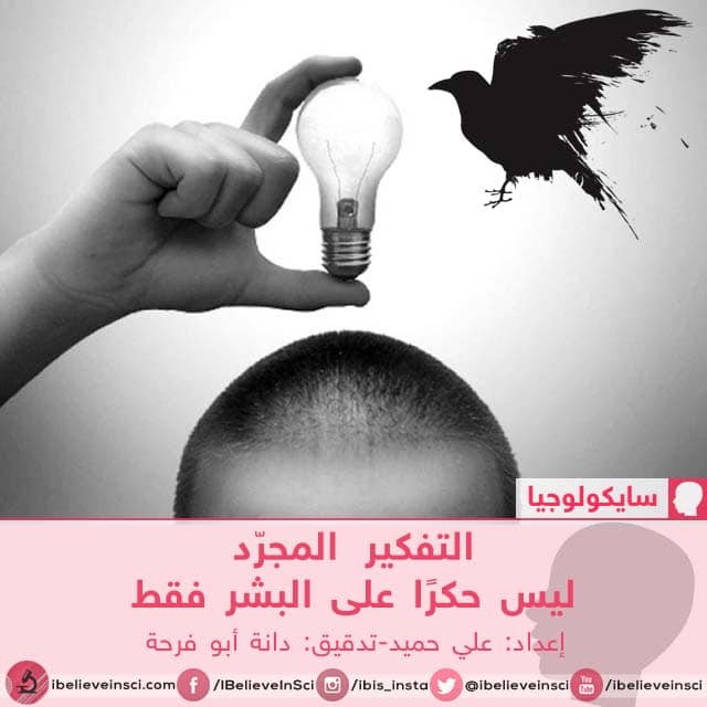 التفكير المجرّد ليس حكرًا على البشر فقط