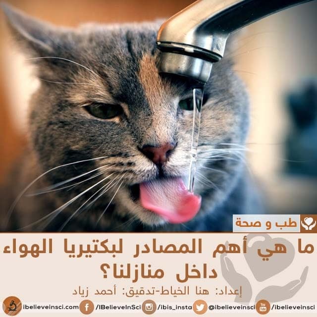 ما هي أهم المصادر لبكتيريا الهواء داخل منازلنا؟