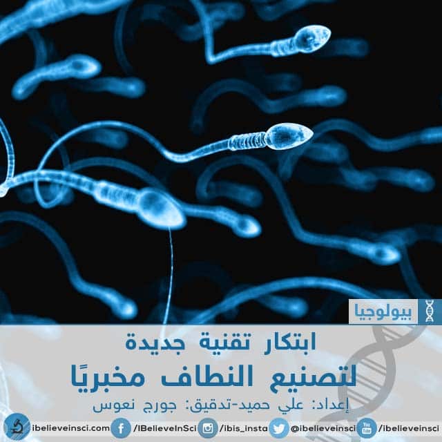 ابتكار تقنية جديدة لتصنيع النطاف مخبريًا