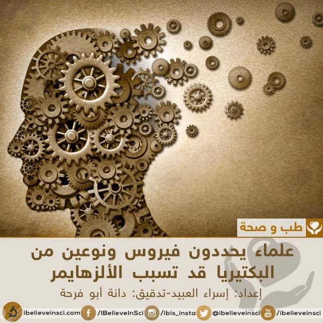 علماء يحددون فيروس ونوعين من البكتيريا قد تسبب الألزهايمر