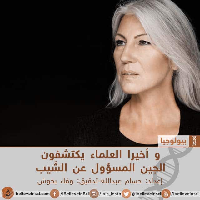 و أخيرا العلماء يكتشفون الجين المسؤول عن الشَيب