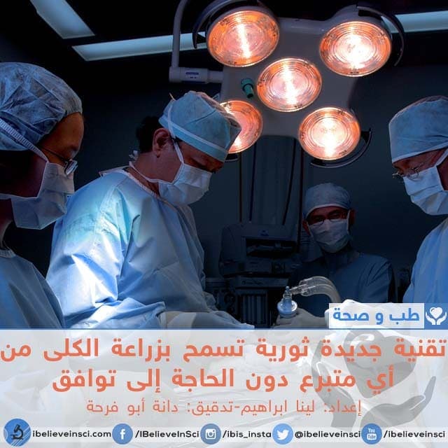 تقنية جديدة ثورية تسمح بزراعة الكلى من أي متبرع دون الحاجة إلى توافق