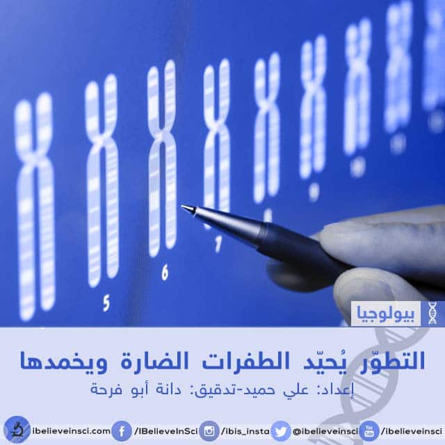 التطوّر يحيد الطفرات الضارة ويخمدها