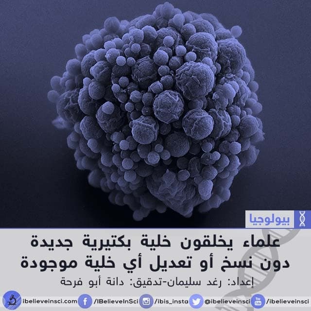 علماء يخلقون خلية بكتيرية جديدة دون نسخ أو تعديل أي خلية موجودة
