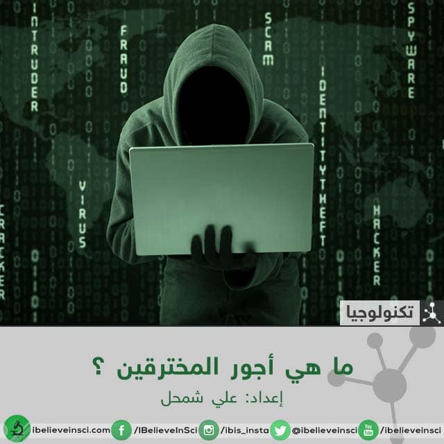 أجور المخترقين