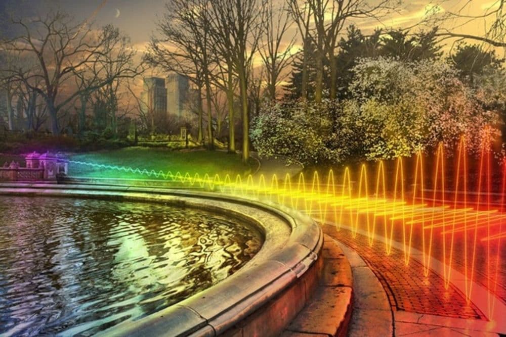 هل تسائلت يومًا ما هو شكل إشارات الـواي فاي؟