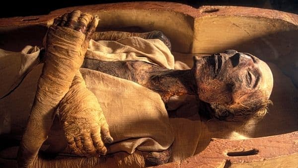 اكتشاف مقاومة المضادات الحيوية في أمعاء المومياءات القديمة