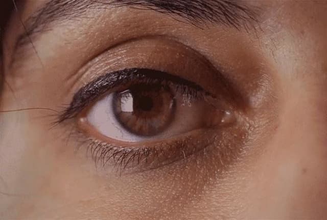 لماذا لا يعتم الضوء عندما نطرف ( نرمش ) باعيننا ؟