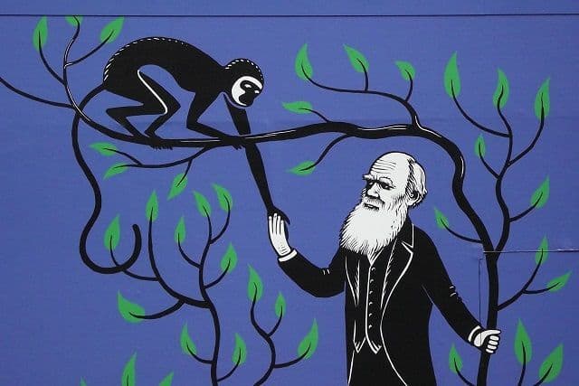 هذه الميزات الغريبة "عديمة الجدوى" من التطور هي في الواقع دليل على حدوثه