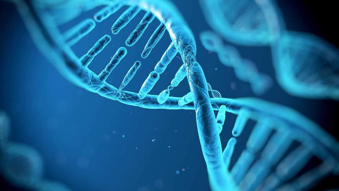دراسة مفاجئة تكشف أن أجسام الأشخاص الأصحاء مليئة ب الطفرات الجينية
