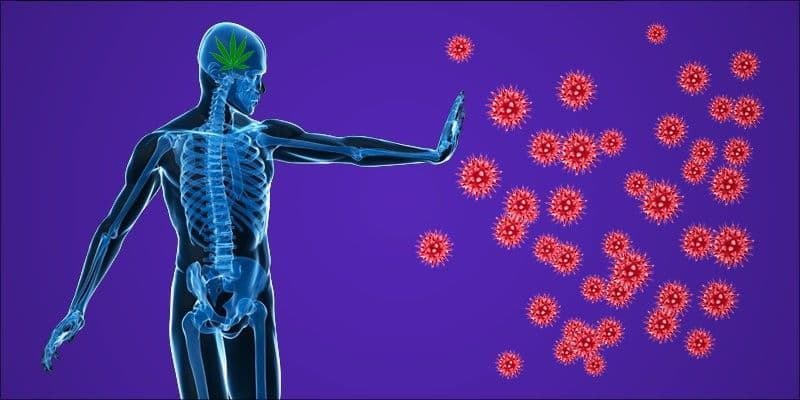 وجد العلماء طريقة جديدة تمامًا لإبطاء أمراض المناعة الذاتية