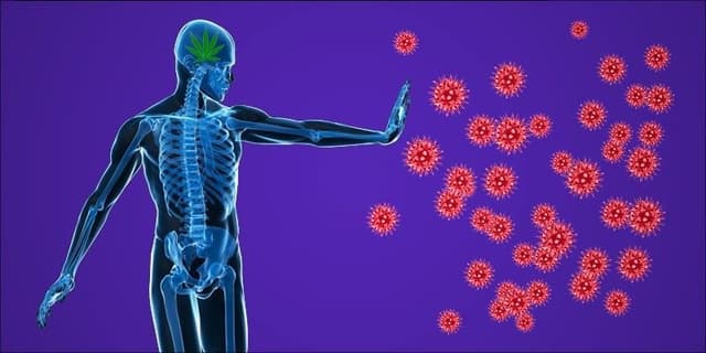 وجد العلماء طريقة جديدة تمامًا لإبطاء أمراض المناعة الذاتية