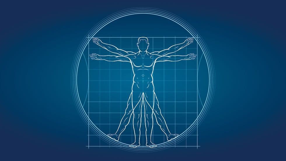 الميكانيكا البيولوجية