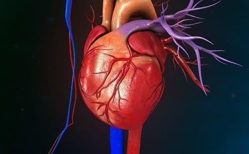 خلل تنسج البطين الأيمن المحدث لاضطراب النظم (خلل التنسج) ARVD