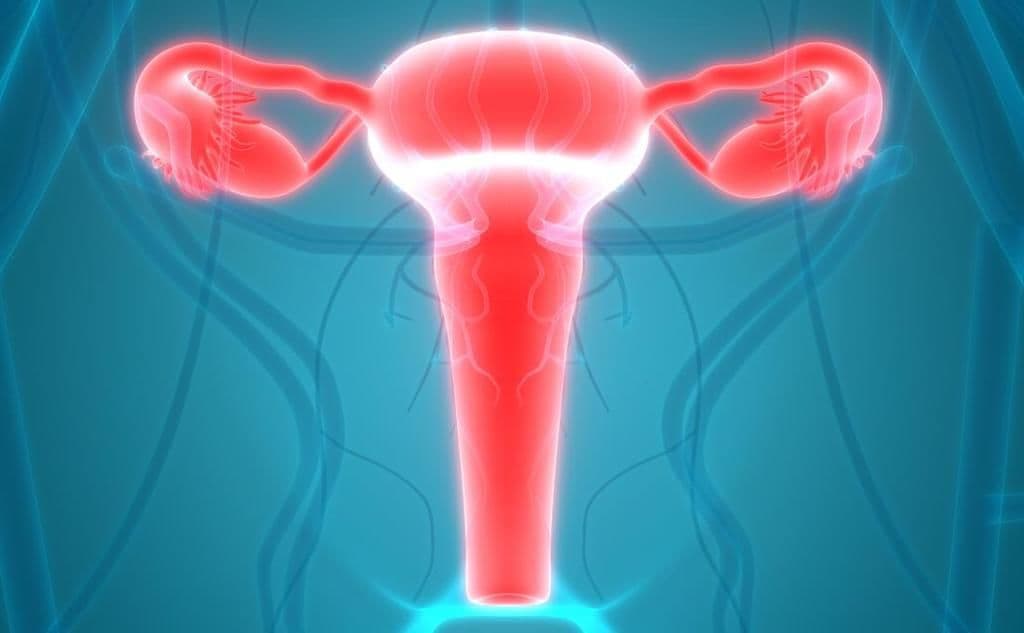 التهاب عنق الرحم: الأسباب والأعراض والتشخيص والعلاج