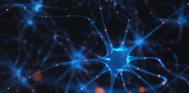 اعتلال عصبي التهابي متعدد مزمن مزيل للمايِلين