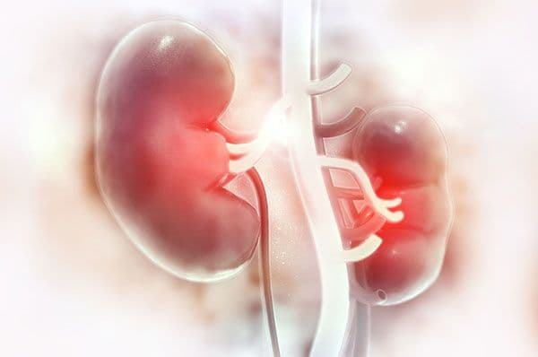 المتلازمة الانحلالية اليوريمية HUS: الأسباب والأعراض والتشخيص والعلاج