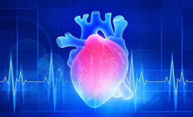 قلس الصمام التاجي: الأسباب والأعراض والتشخيص والعلاج