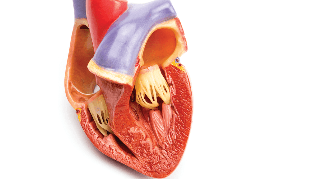 التهاب غشاء التامور Pericarditis