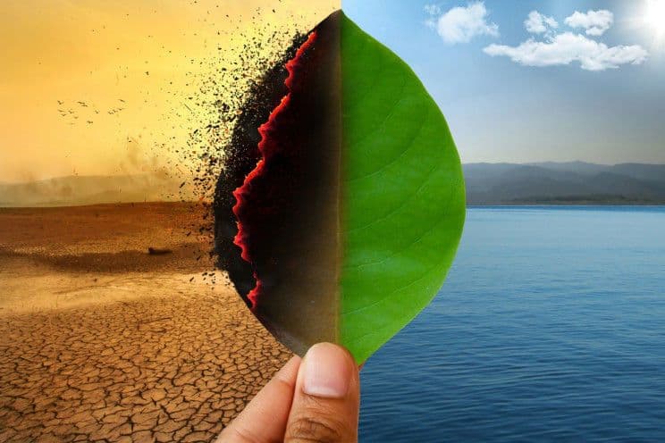 هل سنضطر لتغيير منظومتنا الغذائية للحد من التغير المناخي ؟