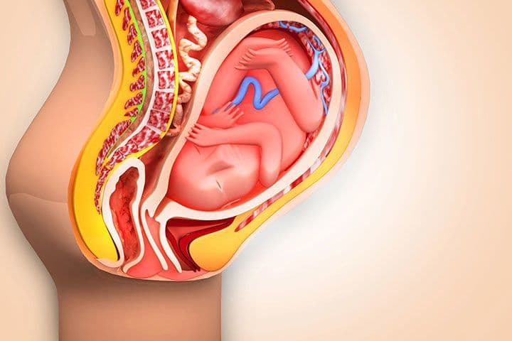 النزف التالي للوضع: الأسباب والأعراض والتشخيص والعلاج