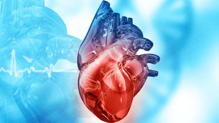 عيب الحاجز البطيني: الأسباب والأعراض والتشخيص والعلاج