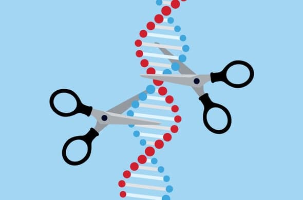 الحكم بالسجن على العالم الذي استخدم تقنية CRISPR لتعديل جينات الأطفال!