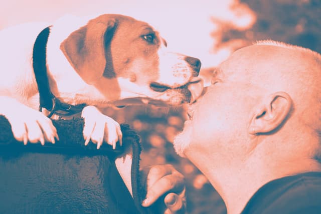 حالة طبية نادرة ومأساوية.. لعقه كلبه، فمات!