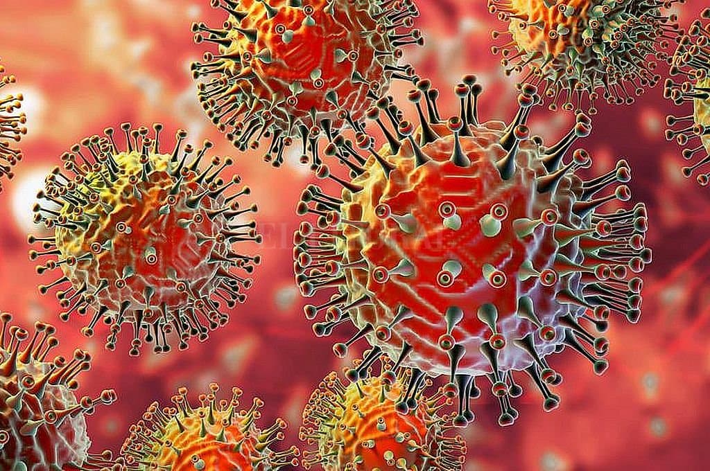 اكتشف العلماء فيروسًا غامضًا في البرازيل بدون جينات معروفة يمكنهم التعرف عليها