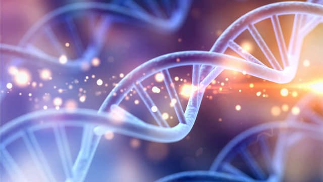 العثور على حمض نووي عمره 75 مليون عامًا محفوظ في بقايا ديناصور صغير ذو منقار بطي